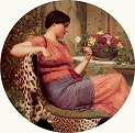 The Time of the Roses
